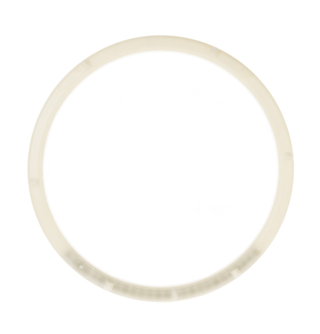 WH45X10138-8524.jpg