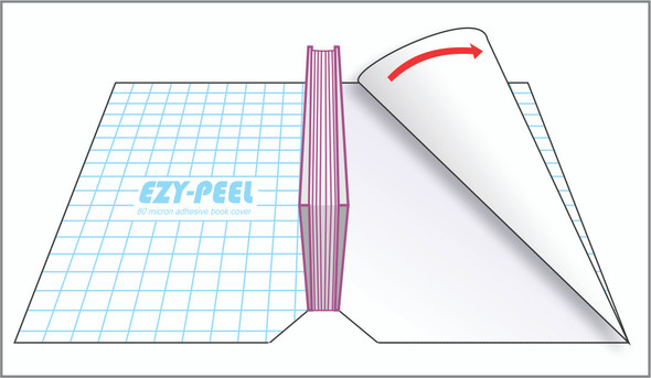 Ezy-Peel Sheet 10 Pack 