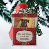 Rescue Pet Picture Frame Ornament
