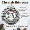 Pewter Puppy's First Christmas Photo Frame 