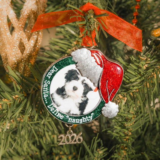Santa Hat Photo Frame Pewter Ornament