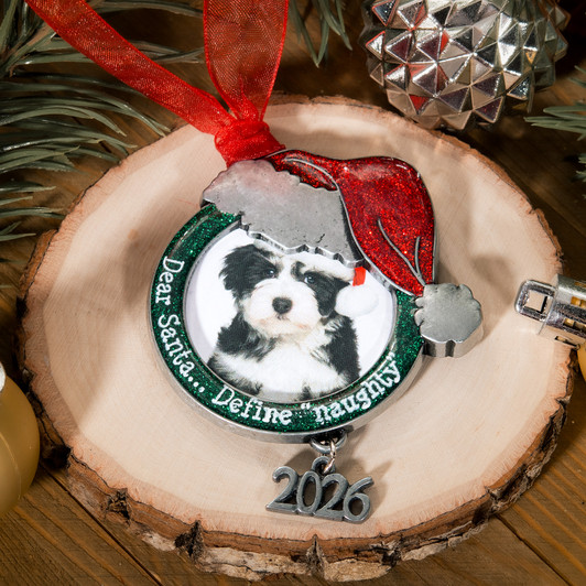 Santa Hat Photo Frame Pewter Ornament