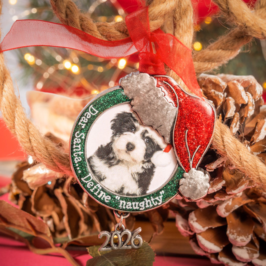 Santa Hat Photo Frame Pewter Ornament
