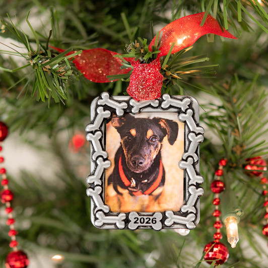 Dog Bone Picture Frame