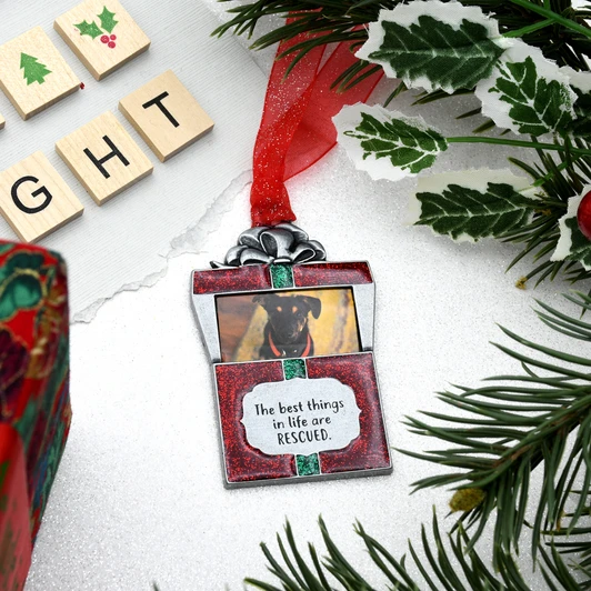 Rescue Pet Picture Frame Ornament