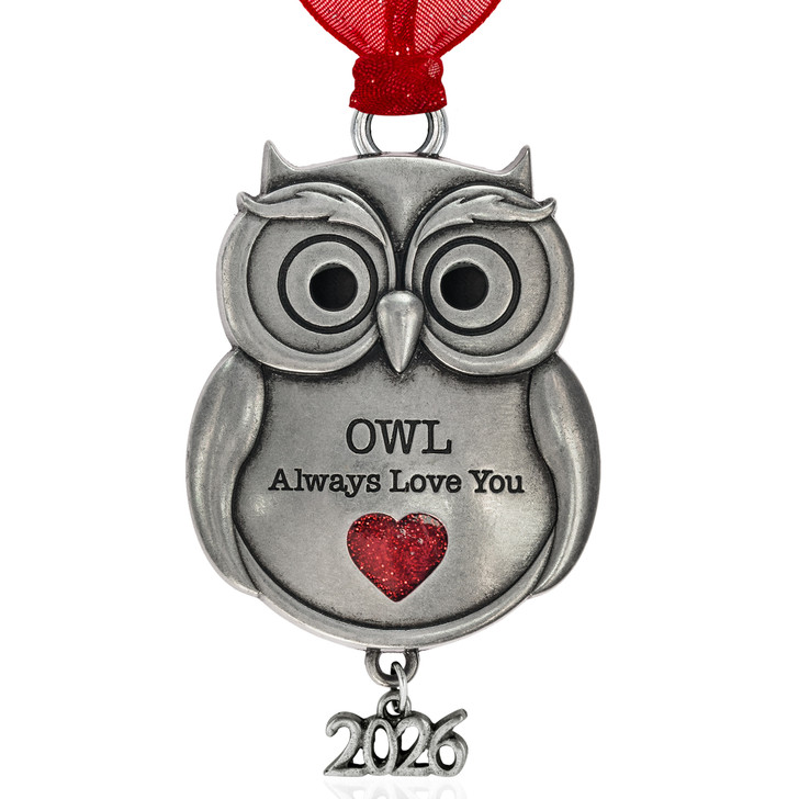 Owl Always Love You Silver Metal Ornament
