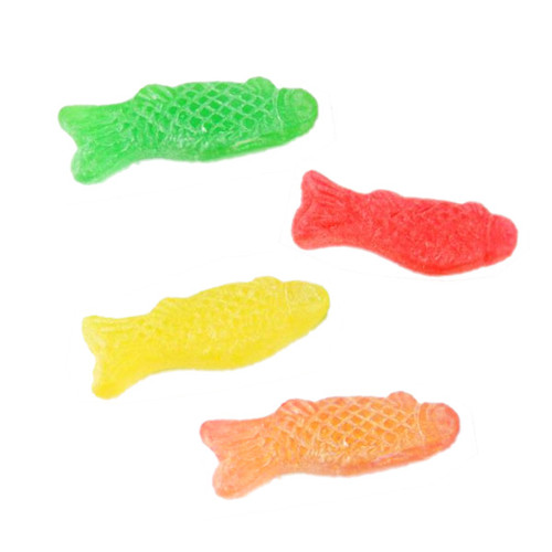 Passover mini Jelly Fish