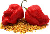 Ultra Hot Peppers (Armageddon X) Chilli Pepper Seeds (10)