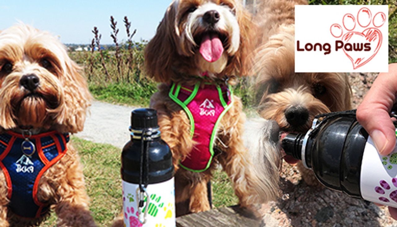 long paws water bottle