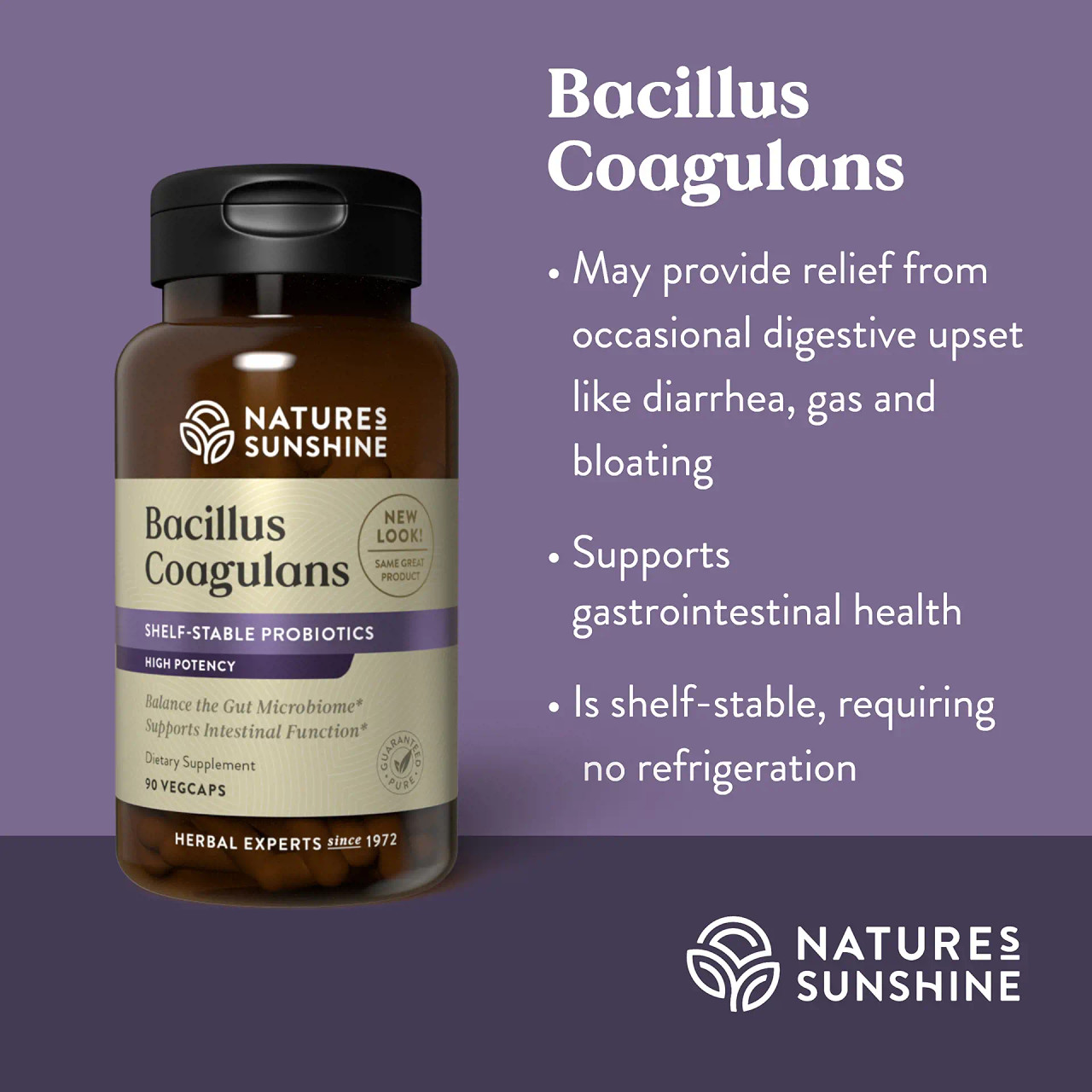 Nature's Sunshine Bacillus Coagulans info - 25-30% off retail now - Fast ship