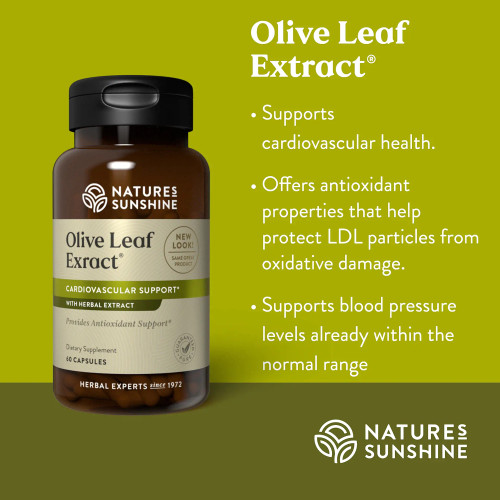 Benefits of olive leaf for the heart and immune system