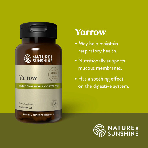 Benefits of Yarrow