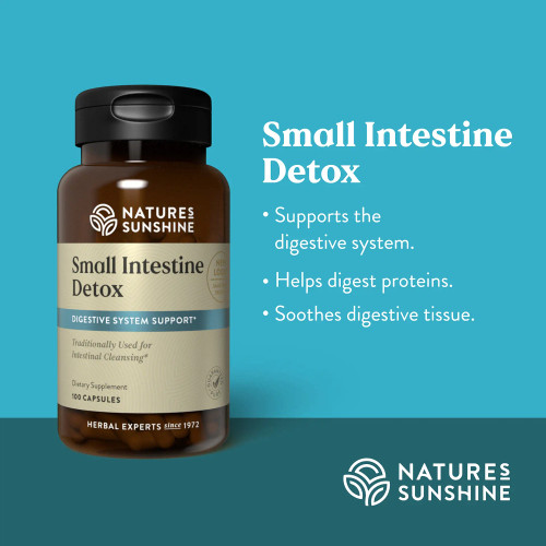Benefits of Small Intestine Detox