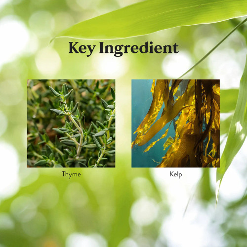 Nature's Sunshine Zinc Lozenges product data Shop here Best price