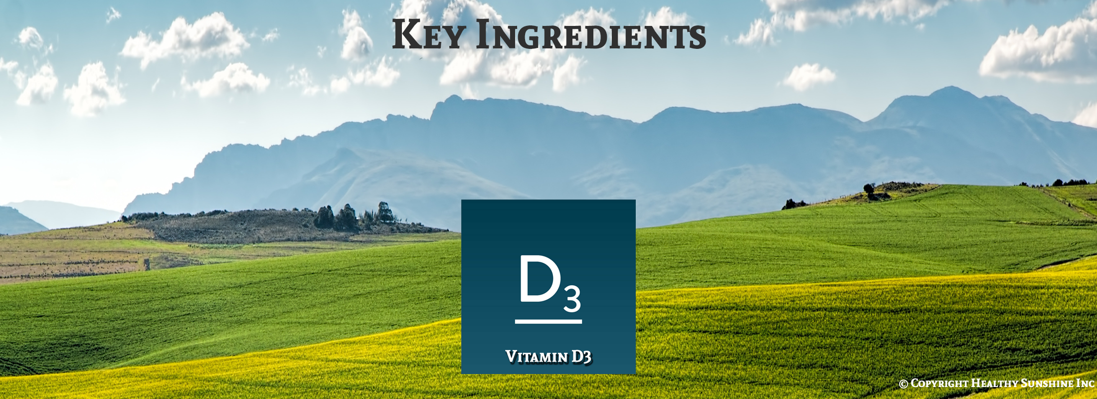 Key ingredient image Natures Sunshine D3