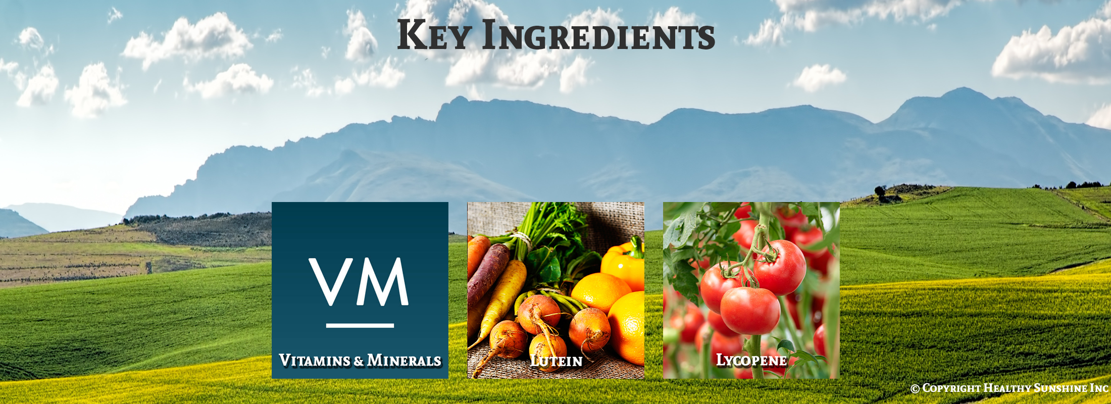 Nature's Sunshine Super Supplemental Vitamins key ingredients image