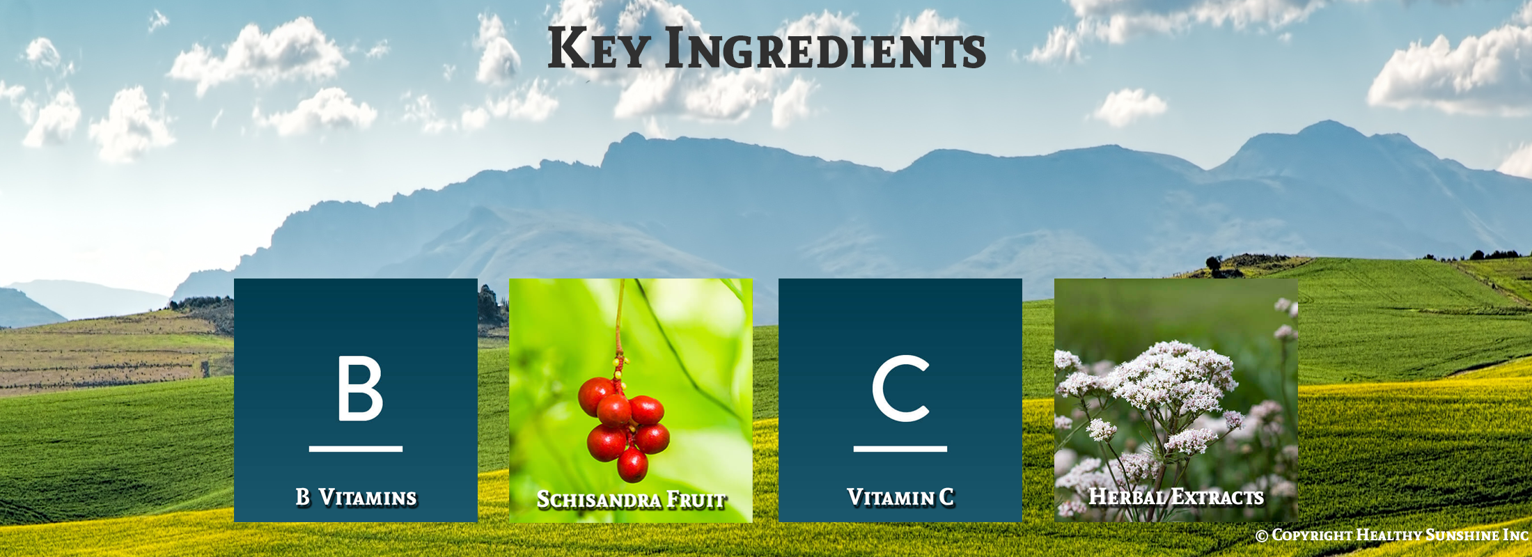 Image for ingredients of Natures Sunshine Nutri-Calm