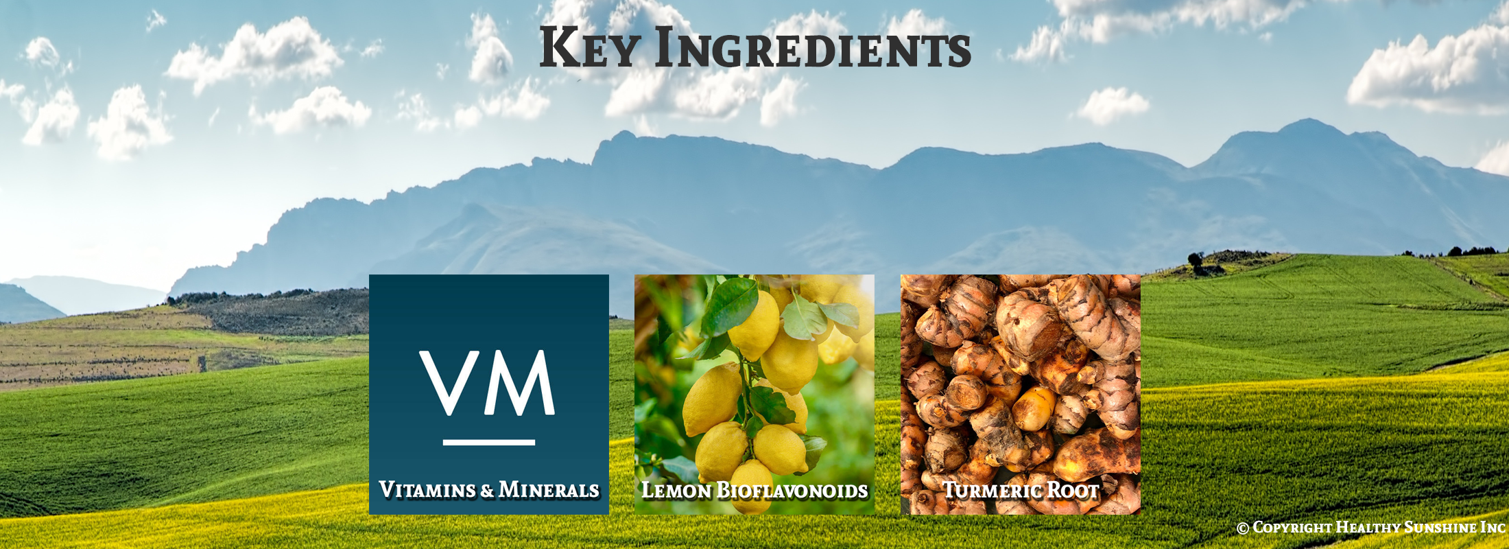 Image of Natures Sunshine ingredients for Multi-vitamin time release