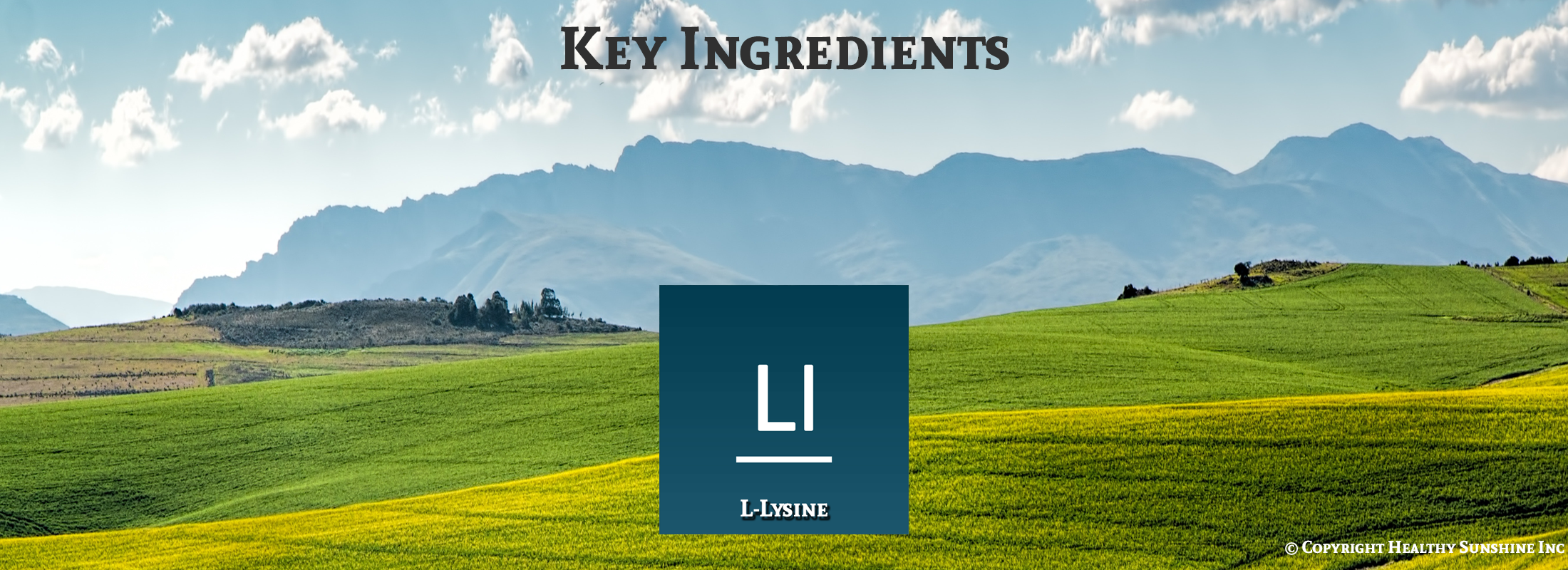 image of Natures Sunshine l-Lysine ingredients