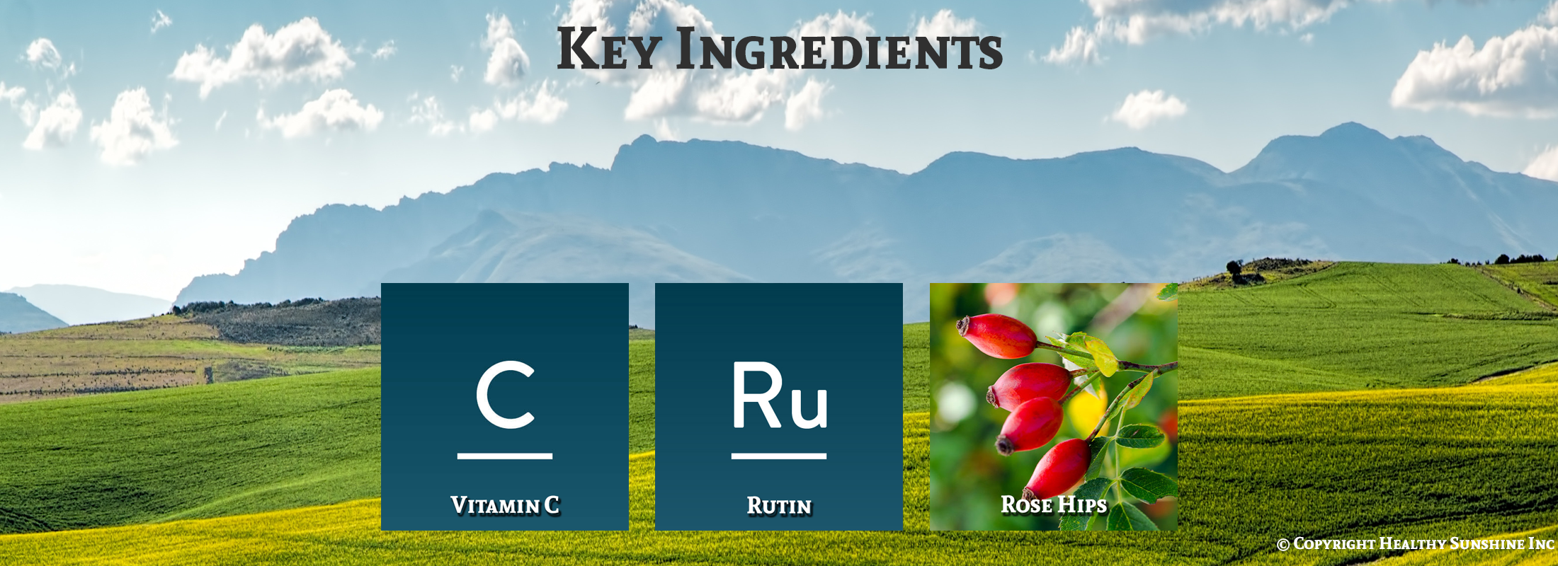 Image of key ingredients for Nature's Sunshine Citrus Bioflavonoids