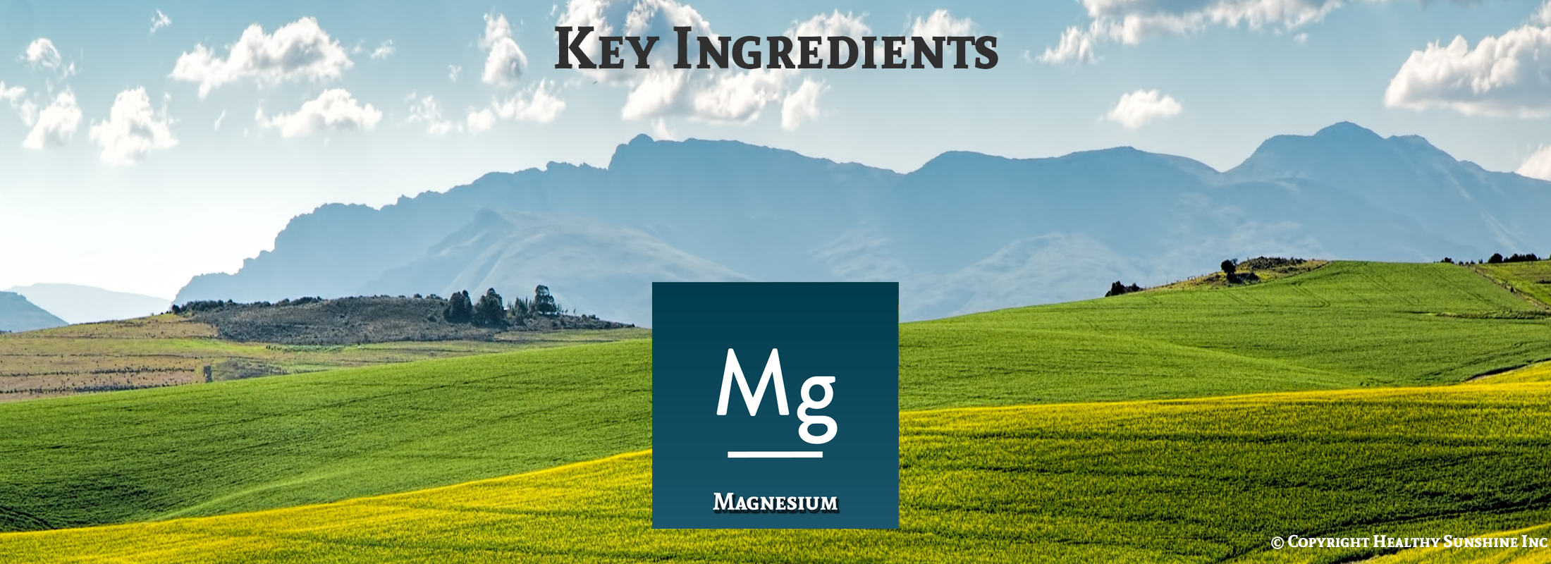 Ingredient image for Natures Sunshine Magnesium Complex