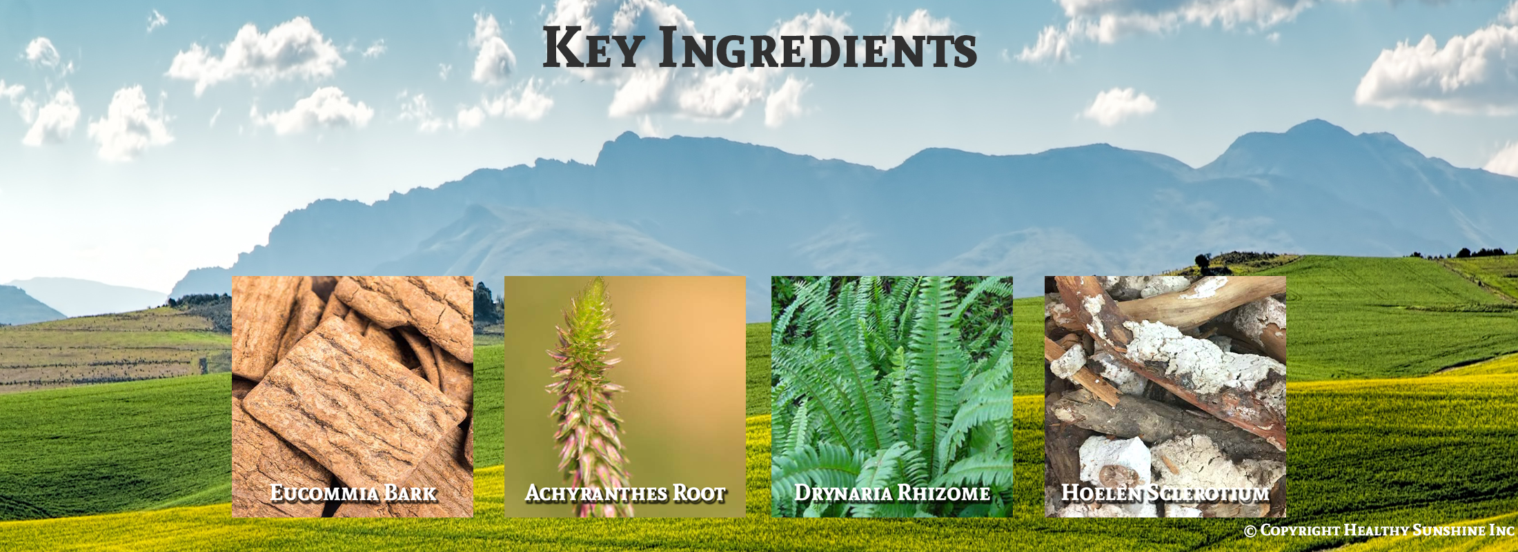 Image of ingredients for Natures Sunshine Chinese KB-C