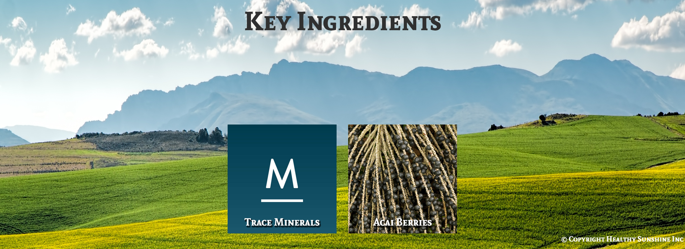 Ingredients image for Natures Sunshine Ionic Minerals