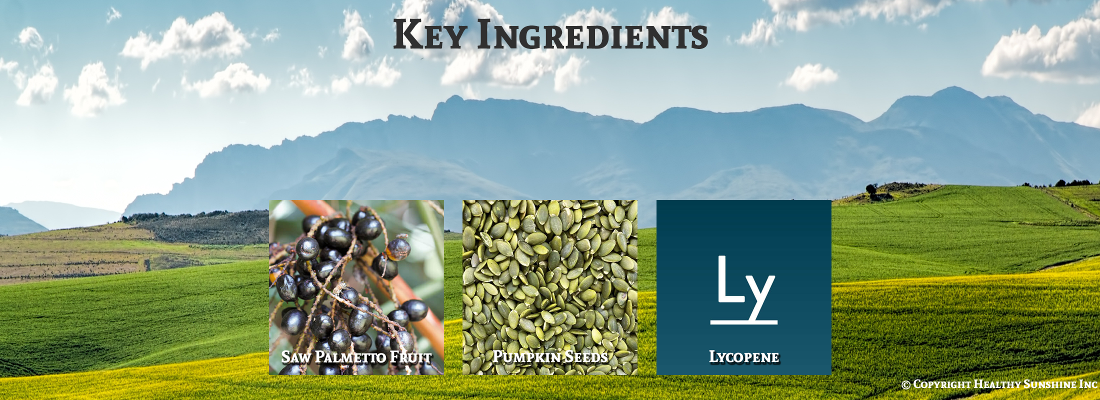 Ingredient image for Natures Sunshine Men's Formula with Lycopene