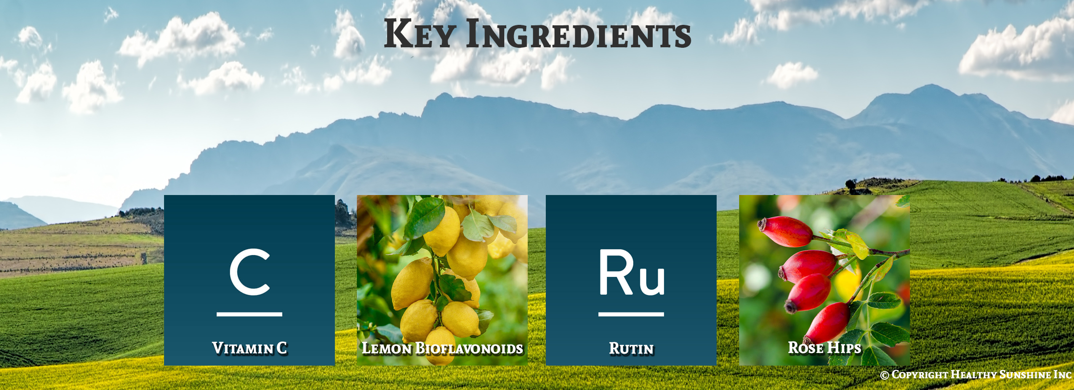 Key ingredient image for Nature's Sunshine Vitamin C Time Release