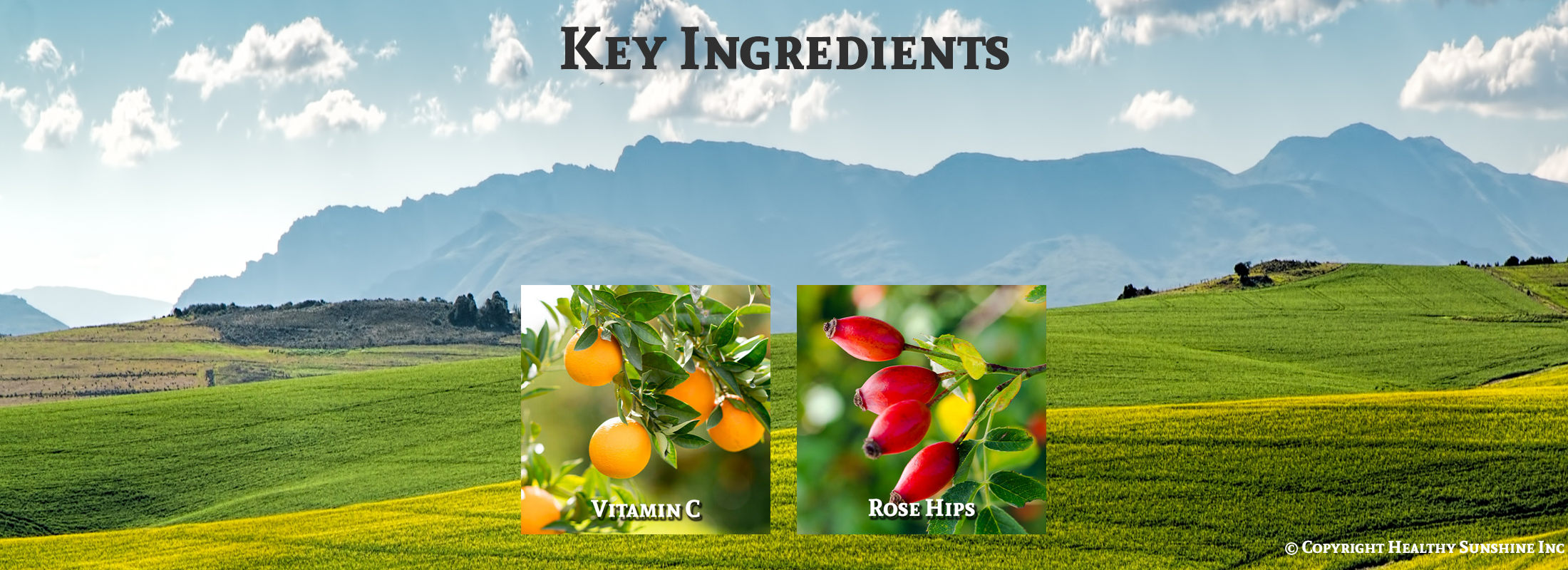 Image of key ingredients for Nature's Sunshine Chewable Vitamin C