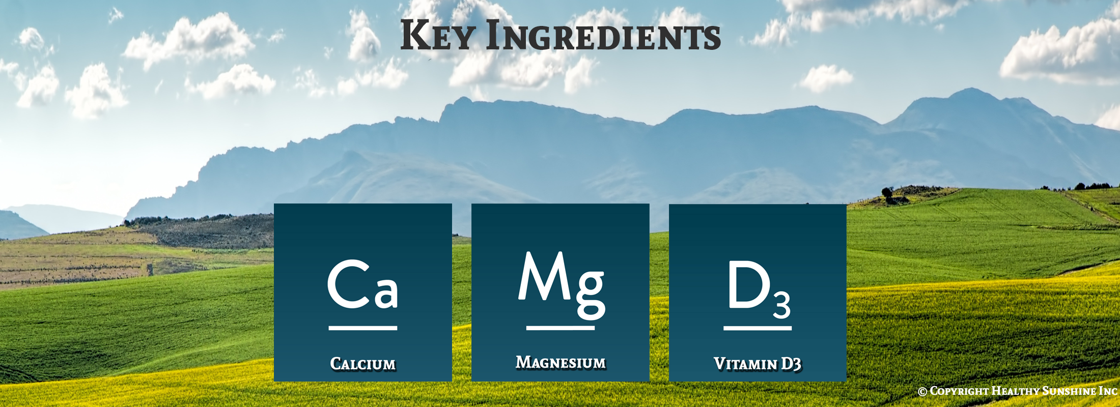 Nature's Sunshine Calcium-Magnesium Synerpro ingredients image