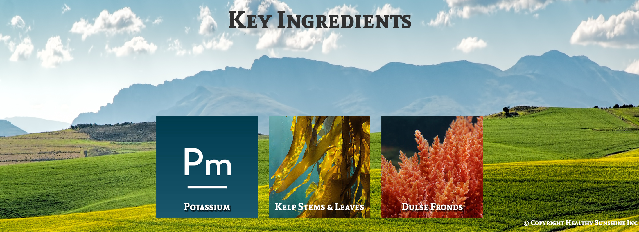Image of ingredients for Natures Sunshine Combination Potassiium
