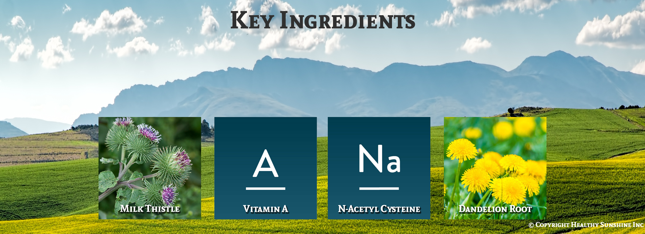 Nature's Sunshine Milk Thistle Combination ingredient image