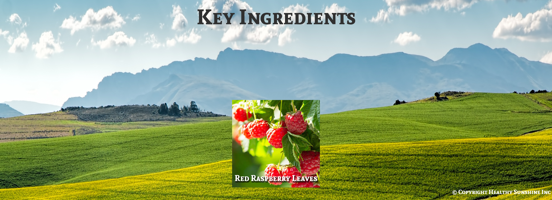 Image of ingredients for Nature's Sunshine Red Raspberry