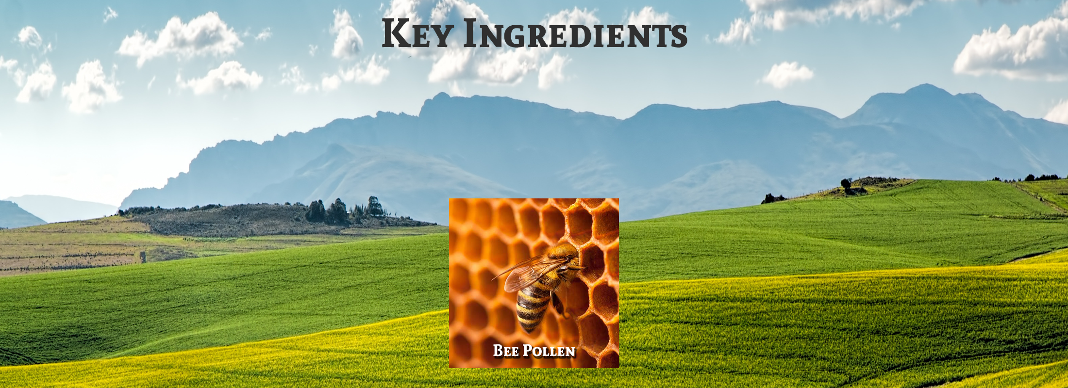 Natures Sunshine Bee Pollen ingredient image