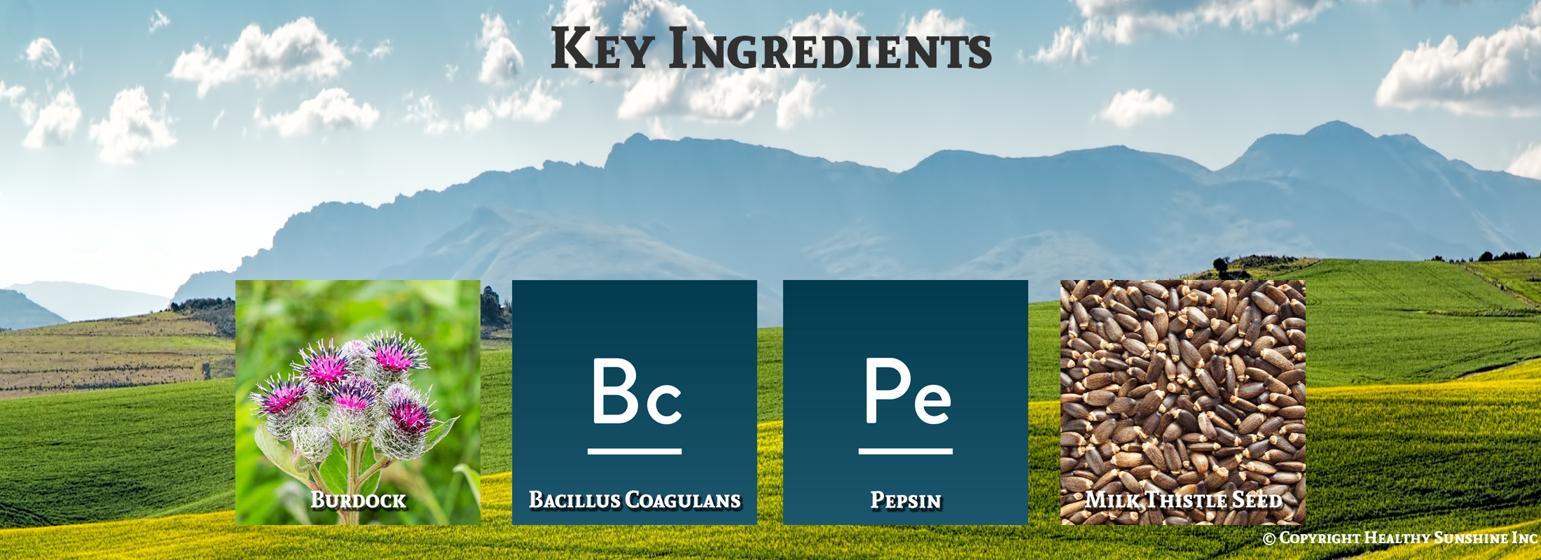 Natures Sunshine Enviro Detox ingredients image