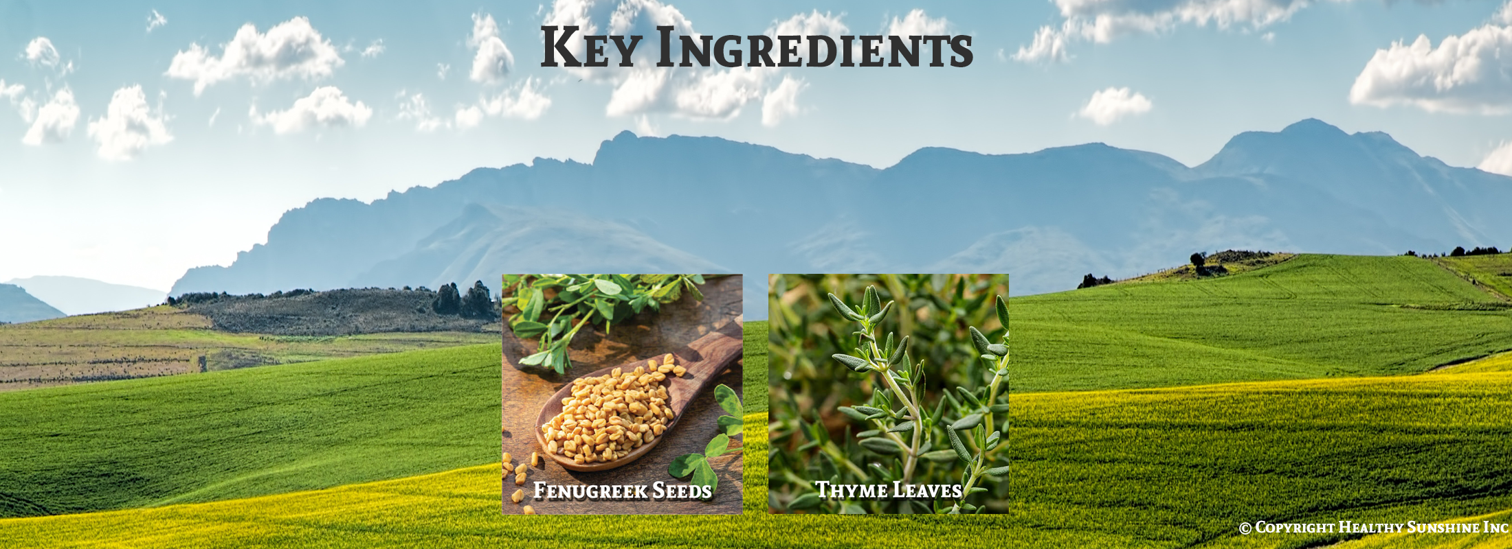 Natures Sunshine Fenugreek Thyme ingredient image