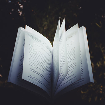 Narrative Learning Product Image