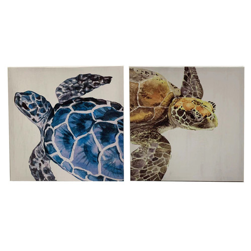 Sea Turtle Canvas Set