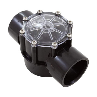 Pentair 263042 Válvula de retención de CPVC para bombas de piscina, 2 puertos recto