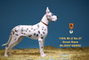Mr.Z No.37 GD002 1/6 scale The German Great Dane statue (in stock)