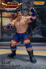 Storm Collectibles WOLF HAWKFIELD - Virtua Fighter 5 (Pre order deposit)