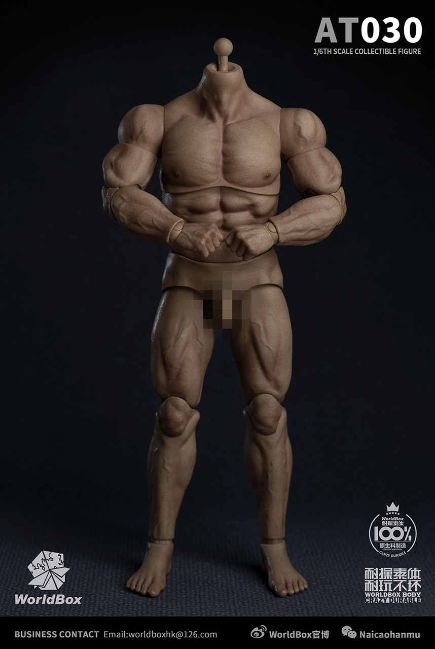 Worldbox AT030 1/6 male muscular durable body (in stock) - TNS Figures