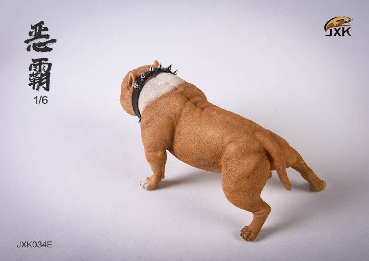 JXK JXK124 1/6 Mini Bully Dog Model Animal American Bully Pitbull Toy  Statue