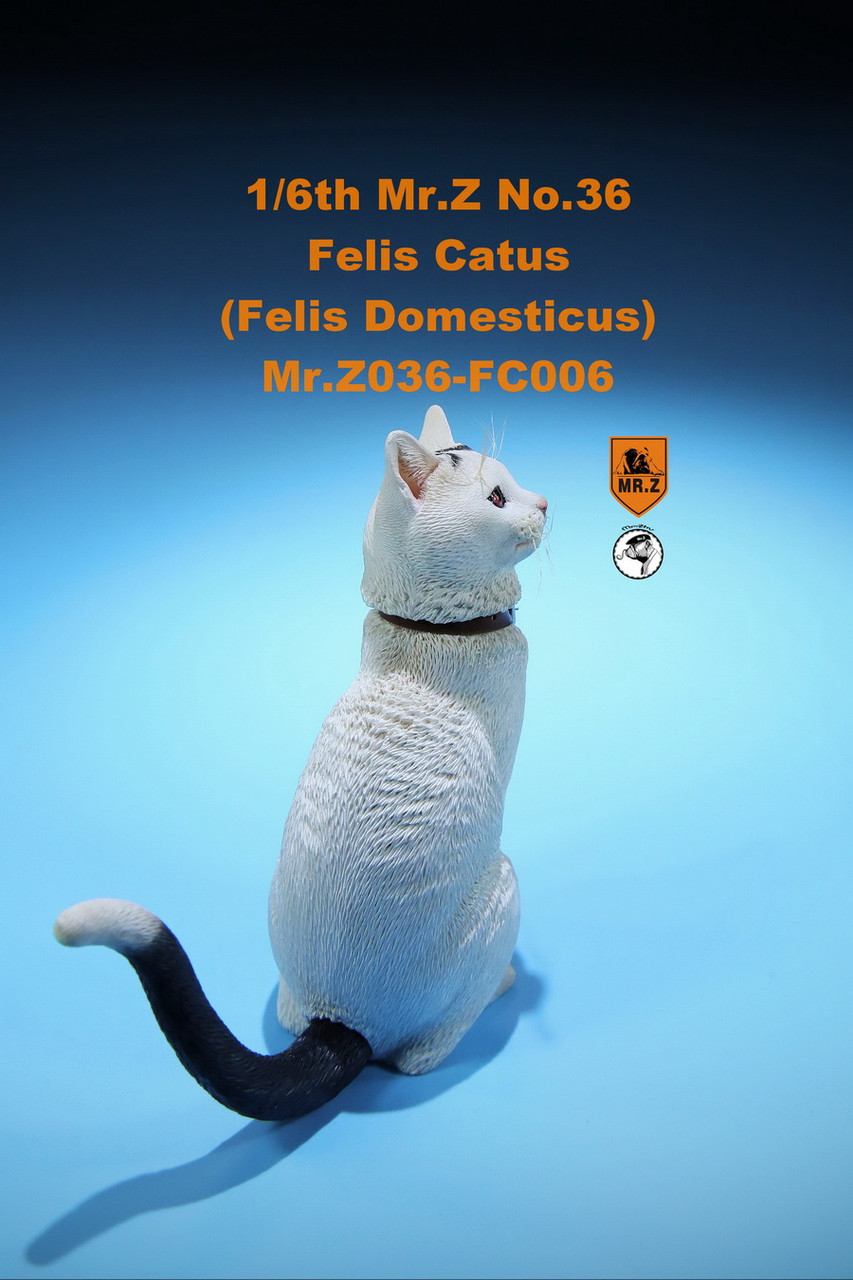 Mr.Z MRZ036 1/6th scale FC006 Felis Catus (in stock) - TNS
