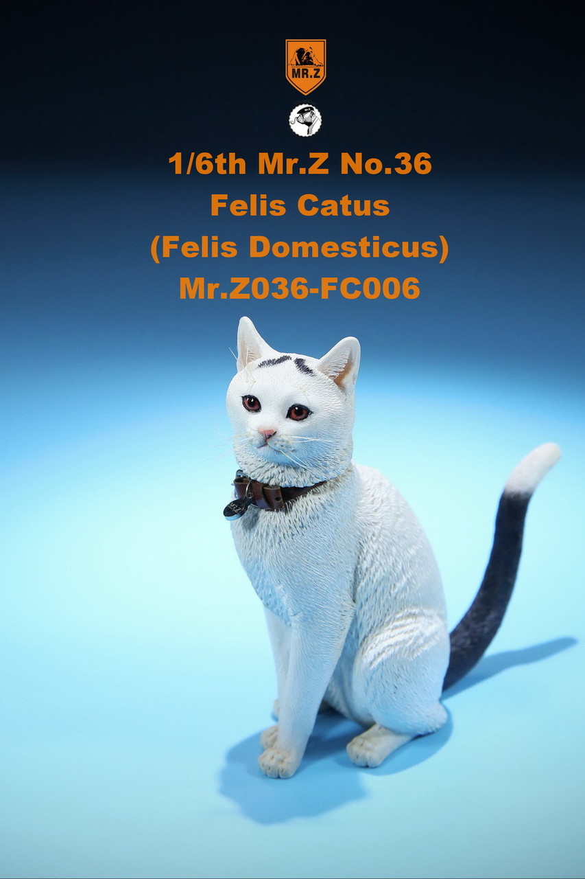 Mr.Z MRZ036 1/6th scale FC006 Felis Catus (in stock) - TNS