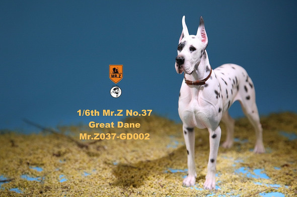 Mr.Z No.37 GD002 1/6 scale The German Great Dane statue (in stock)