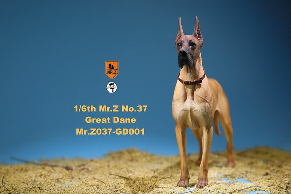 Mr. Z No.37 GD001 1/6 scale The German Great Dane statue (in stock)