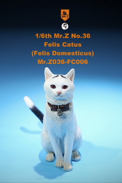 Mr.Z MRZ036 1/6th scale FC006 Felis Catus (in stock)