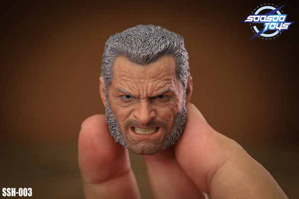 Soosootoys ssh003 1/6 old man logan head (In Stock)